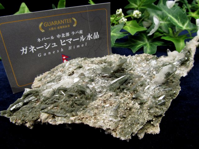 クローライト共生 ガネーシュヒマール産水晶 クラスター原石 最大幅約177mm 重さ102.1g キングオブクォーツ 潜在能力を目覚めさせる石