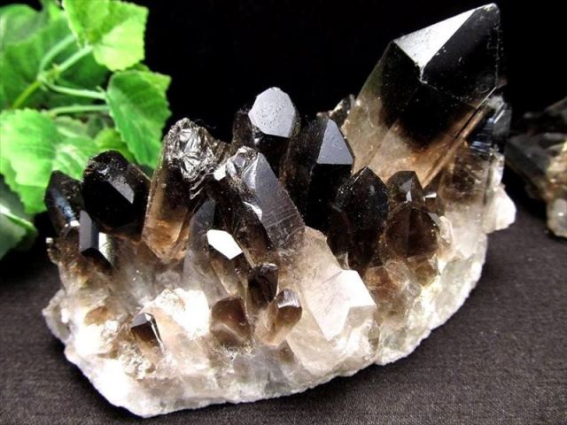 高品質 黒水晶 (モリオン) クラスター原石 1個売り 重さ約200g