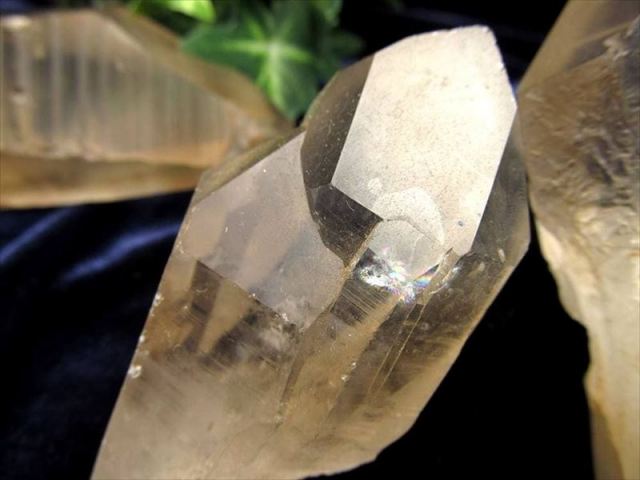 レムリアンシード imgrc0093893173.jpg