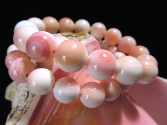 天然ピーチシェル クイーンコンクシェル ブレスレット 12mm 17珠前後 貝の女王 クイーンコンク 極上天然桃色 恋のお守り カリブ海 バハマ諸島沖産