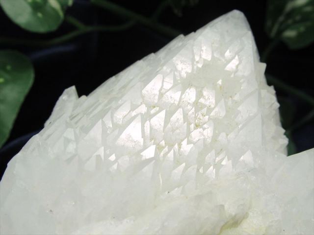 龍鱗タイプ チベット産 ヒマラヤ水晶 クラスター 高さ69mm 重さ548g