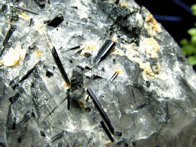 ヒマラヤ山脈 K2の直ぐ西 虹入り ヒマラヤ水晶(ブラックトルマリン入り