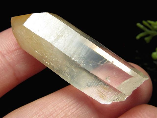 水晶 Comrose