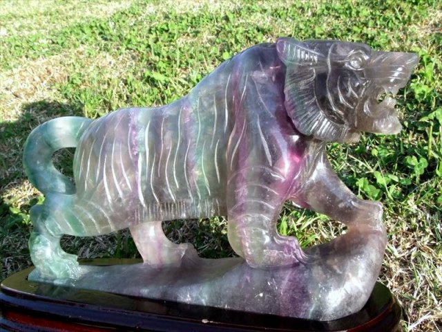 ワイルドタイガー 虎彫り フローライト 彫刻置物 高さ約175mm 約2054g 透明極上のフローライトに毛並みまで表現した彫刻 1点物 アフガニスタン産