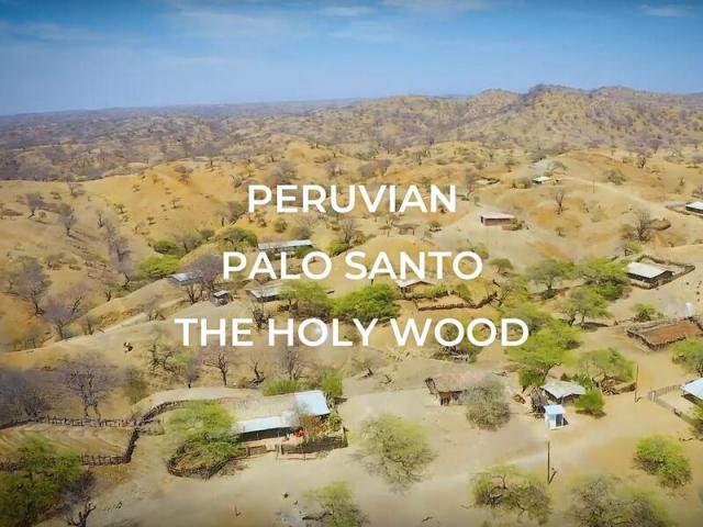 パウダータイプ ペルー産 パロサントパウダー 1袋 約1000g入り お得な