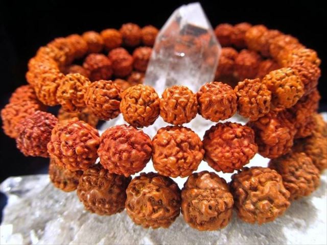 5面菩提樹 ルドラークシャ ブレスレット 約10mm-12mm×17珠前後 ヒンドゥー三大神シヴァの象徴 ネパール産