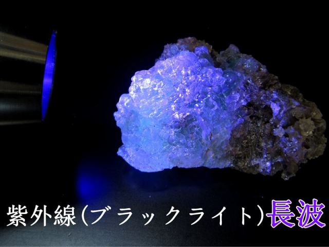 石　ブラックライト(紫) 23010026402201003-4.jpg