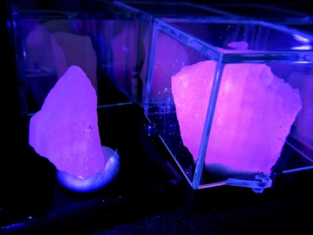 ミニチュア原石シリーズ 蛍光 ホワイトカルサイト 原石 ケース付き コレクションや標本に ブラックライトで発光 アフガニスタン産 パワーストーン 天然石