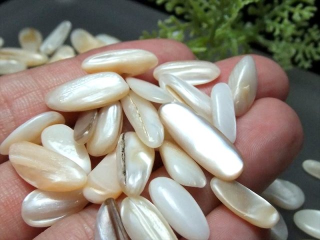 マザーオブパール さざれ 一袋200g 粒約6mm-20mm 子宝や繁栄を象徴する