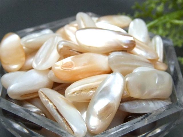 マザーオブパール さざれ 一袋200g 粒約6mm-20mm 子宝や繁栄を象徴する子育てのお守り オーストラリア産 再入荷 2023年7月入荷の画像あり パワーストーン