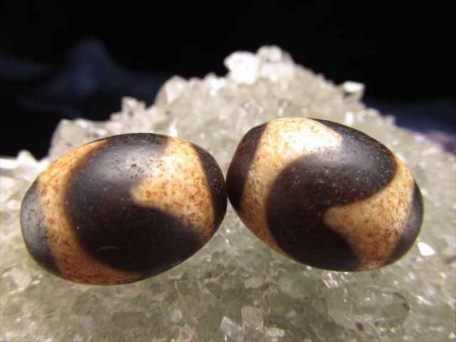 最高級 至純黒朱砂馬蹄痕 虎牙天珠 こがてんじゅ 全長約20mm前後 1個売り ギャンブル必勝・強運獲得・競争勝利 ころんと可愛いミニ天珠 パワーストーン 天然石