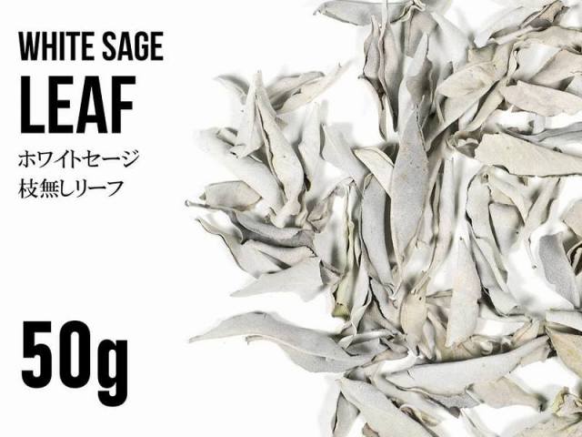 ちょうどいい50g入り ホワイトセージリーフ 50gパック 枝無しリーフのみ スマッジング・薫香用ドライハーブ カリフォルニア産 kou-p パワーストーン 天然石