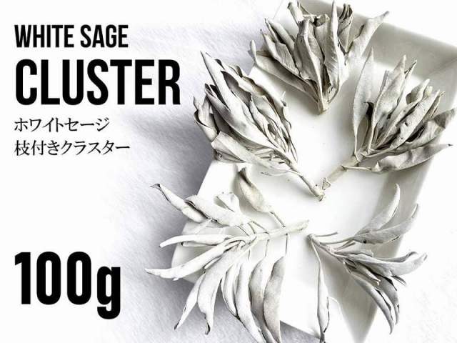 たっぷりお徳用パック 100g入り ホワイトセージ 枝付きクラスター スマッジング・薫香用ドライハーブ カリフォルニア産 パワーストーン 天然石
