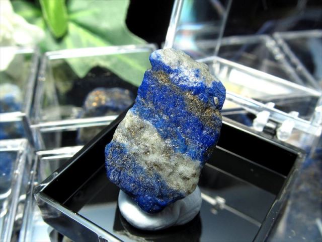 ミニチュア原石シリーズ ラピスラズリ 原石 ケース付き コレクションや