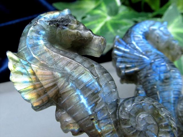 鮮やかシラー ラブラドライト タツノオトシゴ 彫刻置物 1個売り 重さ約
