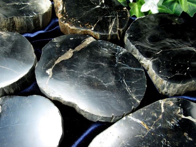 レアなブラック珪化木【ブラック珪化木(ペトリファイドウッド) プレート 置物】重さ380g-410g 神秘なる大自然の力 ウッドストーン 博愛・真心・希望 【木の化石】