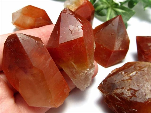 深紅の夢を纏う水晶 レッドドリームコート レムリアン水晶 単結晶 