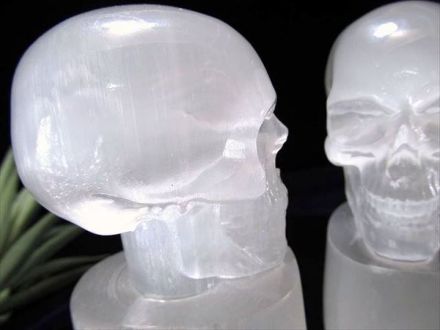 セレナイト 透石膏 ドクロ 髑髏 彫刻置物 高さ約10cm 1個売り クールな