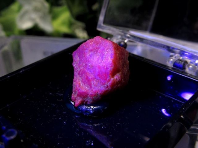 ブラックライトで光る ルビー 原石 ケース付き 宝石の女王 勝利と情熱