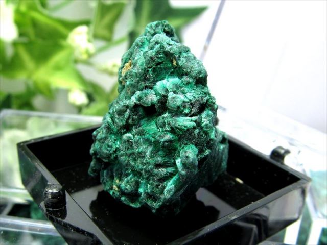 ミニチュア原石シリーズ マラカイト 原石 ケース付き 心身の癒しに