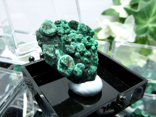 ミニチュア原石シリーズ マラカイト 原石 ケース付き 心身の癒しに