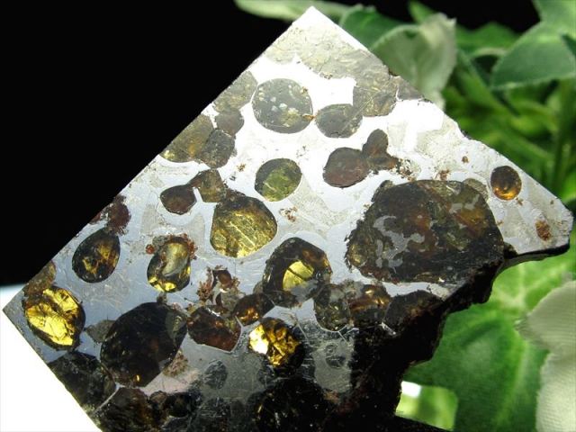 1点限定入荷 セリコ隕石 パラサイト隕石 スライスプレート フロート  