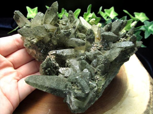 激レア・大サイズ クローライト共生 ガネーシュヒマール産水晶  