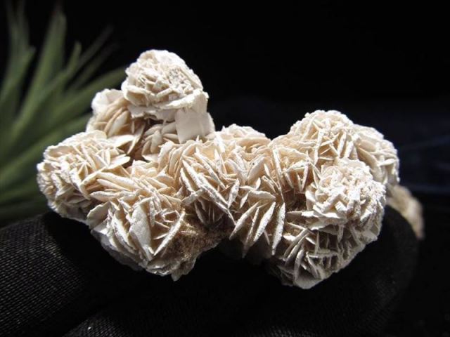 クラスタータイプ デザートローズ(ジプサム・ローズ) 重さ約40g-60g 1個売り 大自然のアート 砂漠のバラ メキシコ産