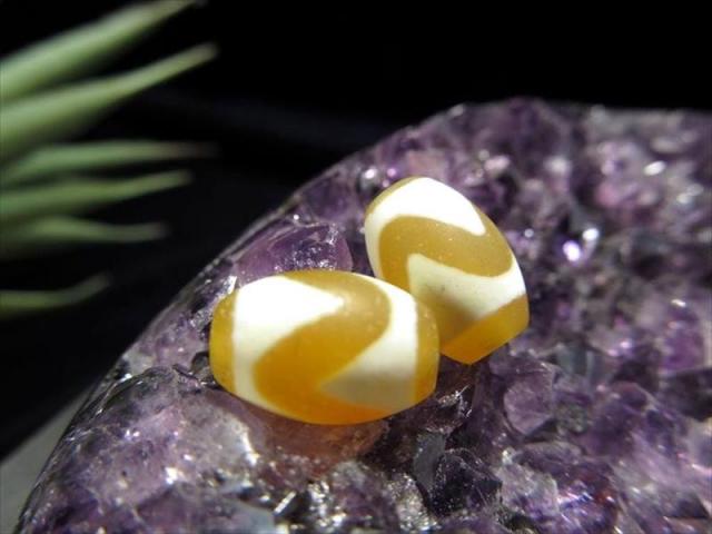 珍しいビタミンカラー 虎牙天珠 こがてんじゅ 最大長さ約11.5mm-12mm 1