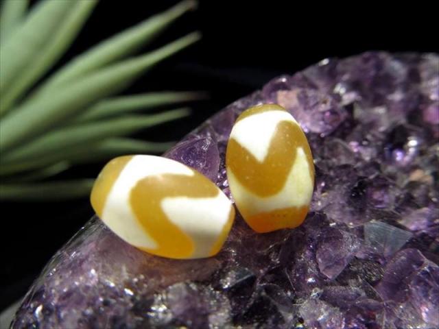 珍しいビタミンカラー 虎牙天珠（こがてんじゅ) 最大長さ約11.5mm-12mm