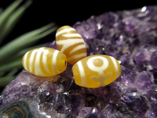 珍しいビタミンカラー 大人天珠（だいじんてんじゅ 最大長さ約11.5mm