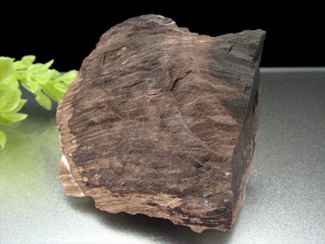 希少 国産原石 珪化木(ペトリファイドウッド) 原石 幅 71mm 重さ 144.5g 古代の樹木の化石 神秘なる大自然の力 ウッドストーン 博愛・真心・希望 一点もの