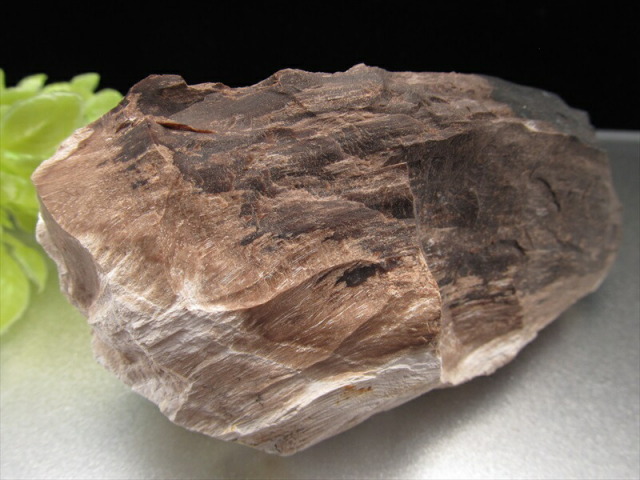 P6☆特選一連☆希少☆木化石【13mmペトリファイドウッド珪化木ラウンド