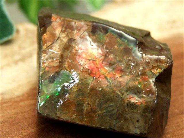 究極品質 超希少幻の色彩 時空を超えし奇跡の宝石 ドラゴンスキン