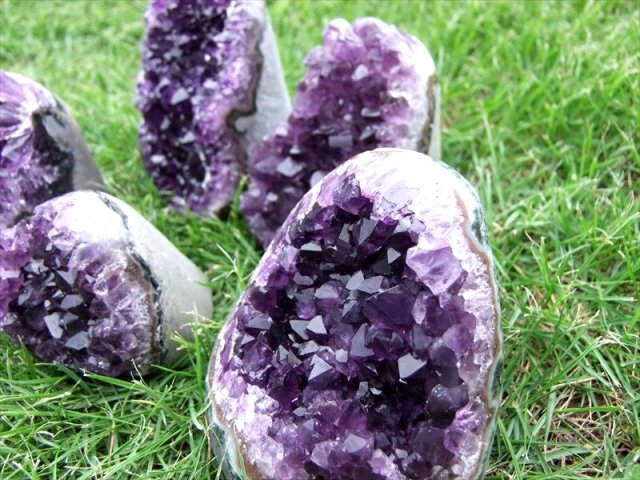 超希少！特殊結晶【カクタス アメジスト ミニクラスター】重さ50g-70g 