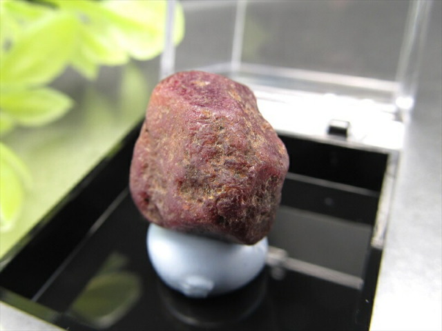 ミニチュア原石シリーズ ルビー コランダム 原石 ケース付き UVライトで蛍光 コレクションや標本に 恋愛成就 インド産 パワーストーン 天然石