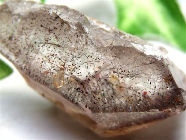 これが本物 幻のメロディストーン エスピリット・サント産 スーパー 