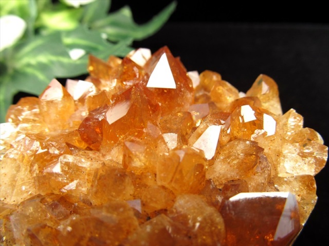 特濃ブランデーカラー シトリン クラスター 原石 幅約69mm 重さ284.5g