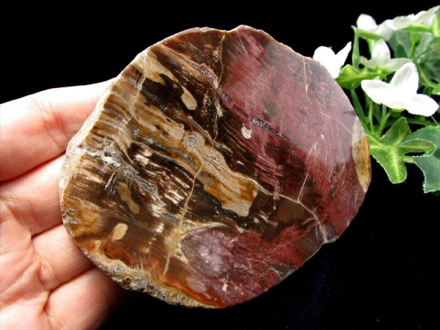 レッドタイプ 珪化木(ペトリファイドウッド) プレート 置物 重さ80g  