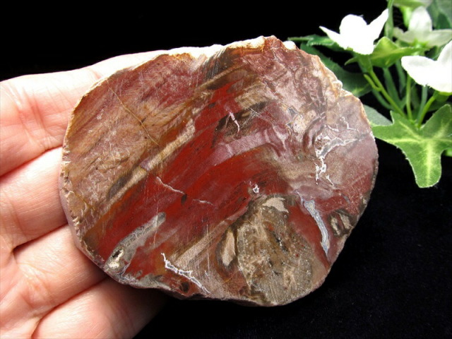 レッドタイプ 珪化木(ペトリファイドウッド) プレート 置物 重さ80g  