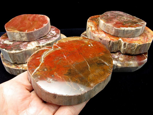 レッドタイプ 珪化木(ペトリファイドウッド) プレート 置物 重さ110g  