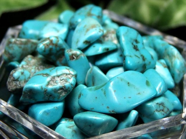 鮮やかなマトリックス模様 ハウライトターコイズ さざれ 200g 染色ターコイズ サザレ サイズ 平均約6mm-15mm パワーストーン ブラジル産 さざれ