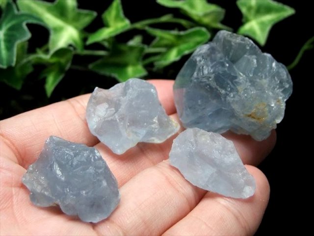 高品質結晶タイプ セレスタイト 結晶原石さざれ 約200g 5-12個入り