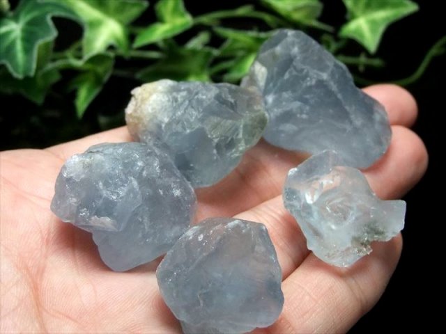 高品質結晶タイプ セレスタイト 結晶原石さざれ 約200g（5-10個入り