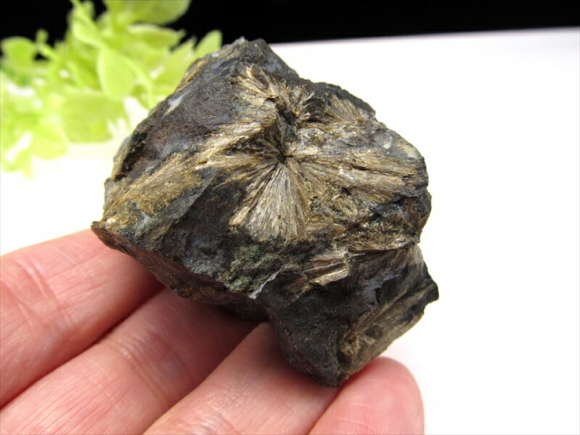 希少 国産原石 頑火輝石(エンスタタイト) 原石 1個売り 重さ110g-120g 