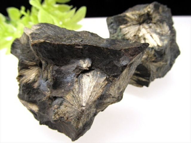 希少 国産原石 頑火輝石(エンスタタイト) 原石 1個売り 重さ110g-120g 岩手県下閉伊郡川井村道又産 見事な放射状の輝石！