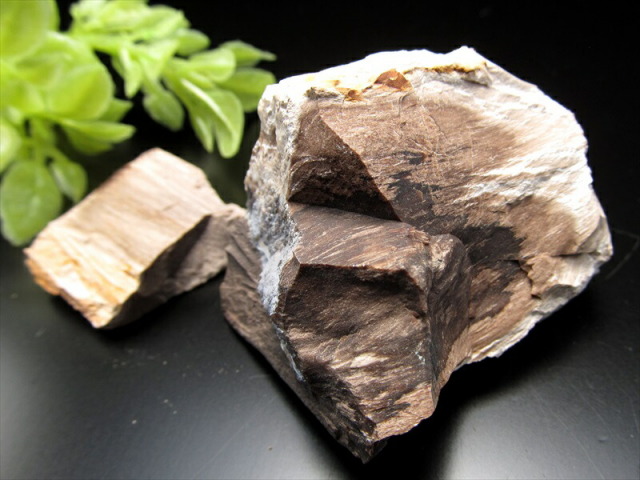 珪化木石 珪化木の景観石+黄鉄鉱含有石 管理No.60913 - メルカリ