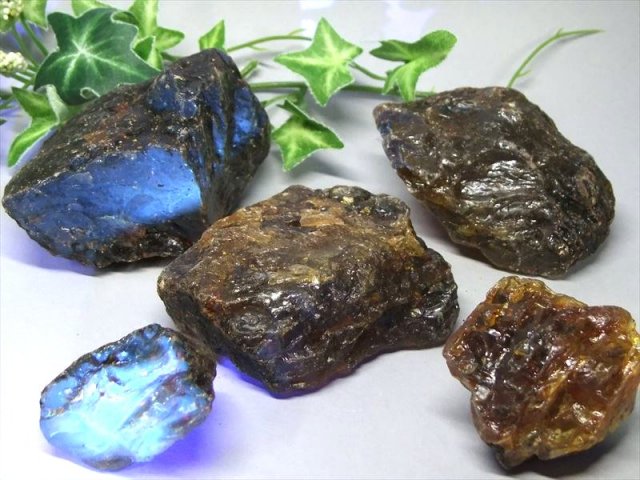 ブルーアンバー 原石 重さ約10g-20g 琥珀 樹木由来の生命力 ブラック 