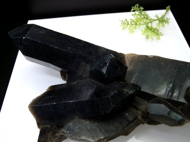 圧倒的支持 天然 黒水晶 (モリオン) クラスター原石 重さ658g