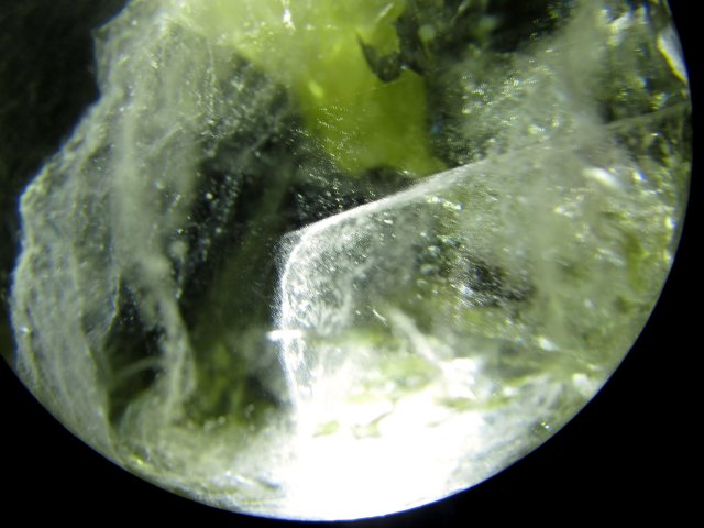 超透明 5A 虹入り！ シトリン 丸玉 台座付き 直径約58mm 重さ268g 透明